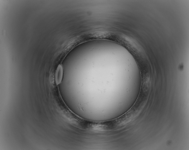 X0000097480268200802291405