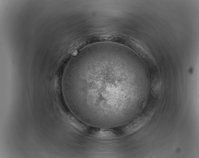 X0000097480270200802291405