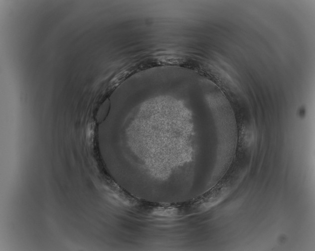 X0000097480271200802291405