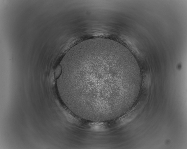 X0000097480273200802291405