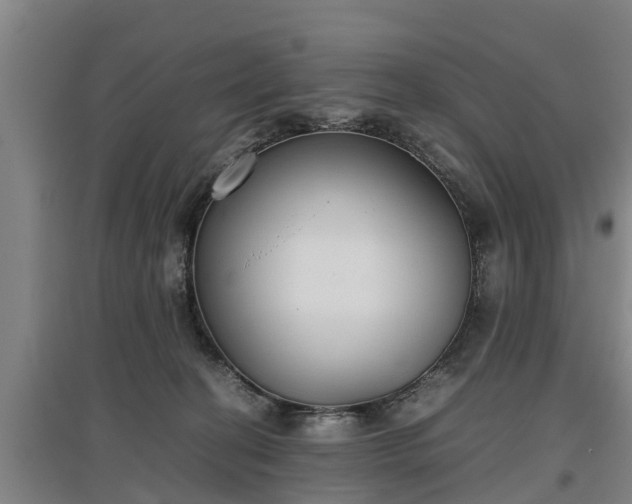 X0000097480274200802291405