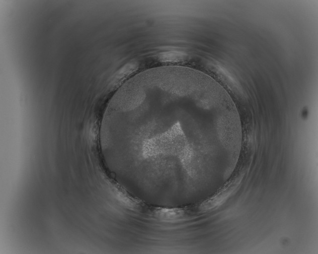 X0000097480277200802291405