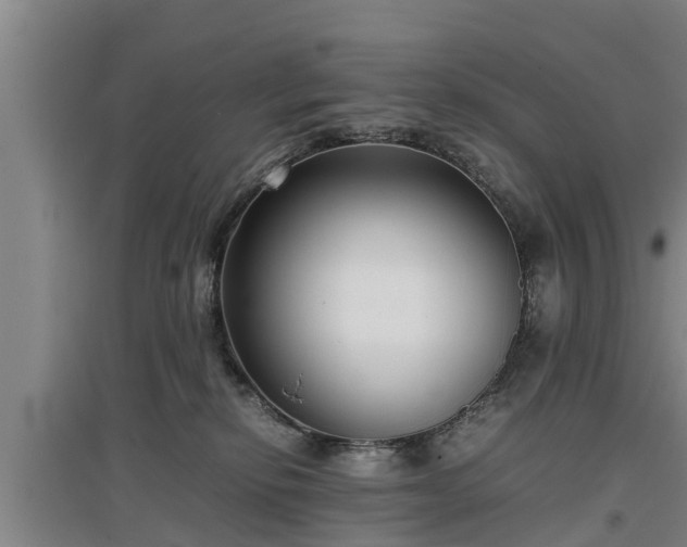 X0000097480278200802291405