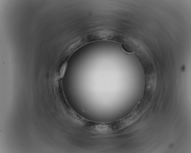 X0000097480279200802291405