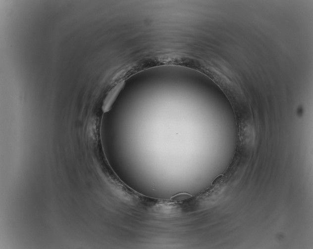 X0000097480280200802291405