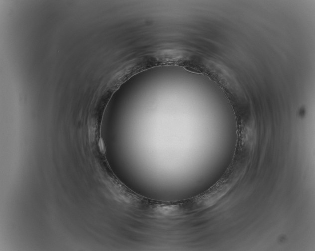 X0000097480283200802291405