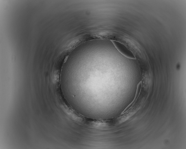 X0000097480284200802291405