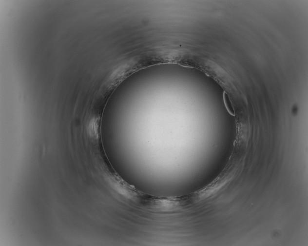 X0000097480286200802291405