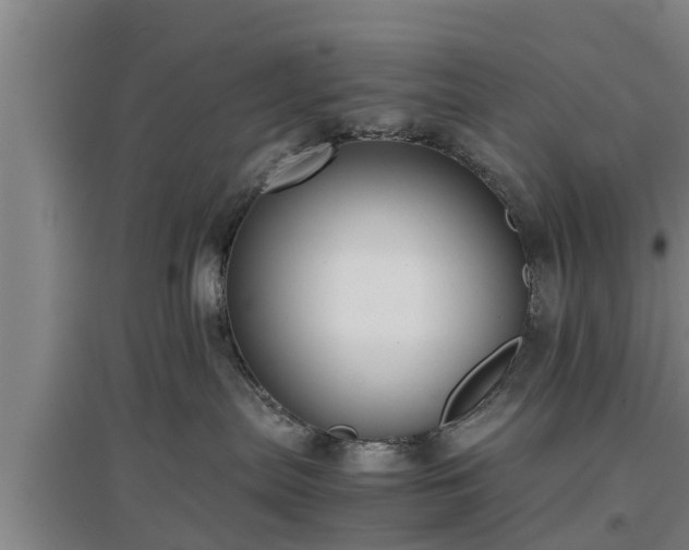 X0000097480287200802291405