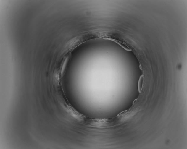 X0000097480288200802291405