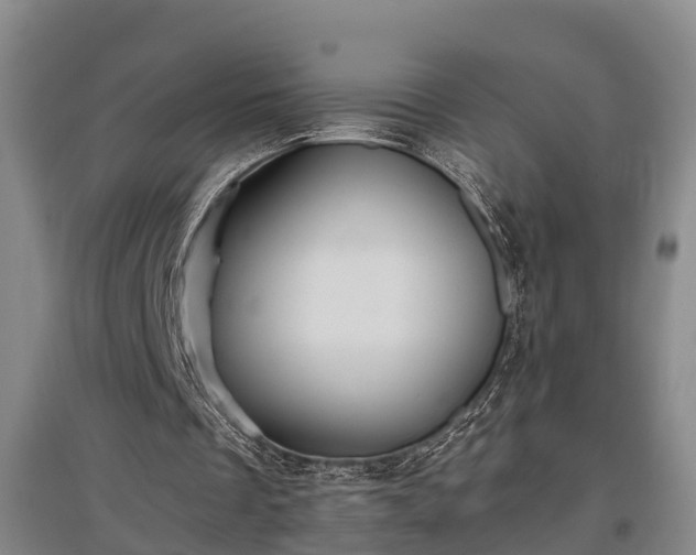 X0000097480289200802291405