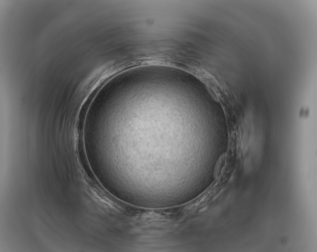 X0000097480290200802291405