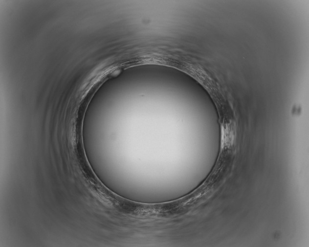 X0000097480291200802291405