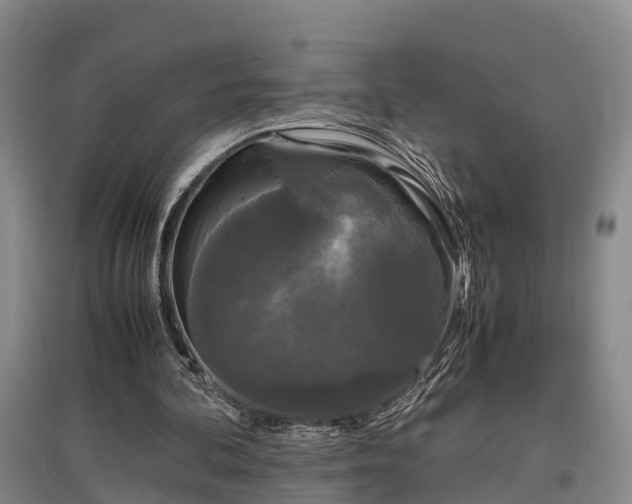 X0000097480292200802291405