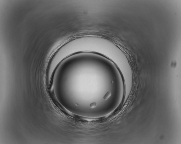 X0000097480293200802291405