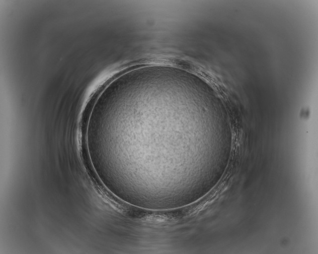 X0000097480294200802291405