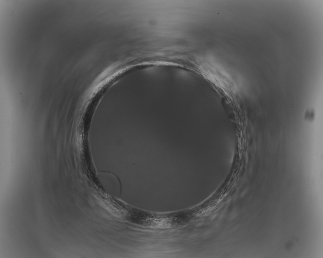 X0000097480295200802291405