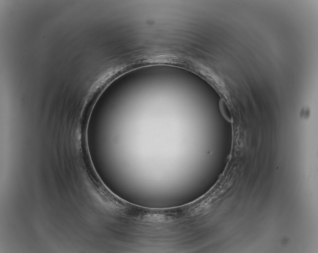 X0000097480298200802291405