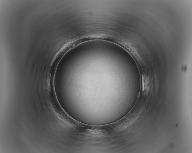 X0000097480300200802291404