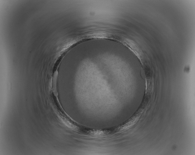 X0000097480301200802291404