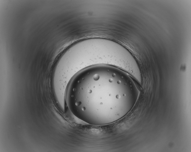 X0000097480302200802291404