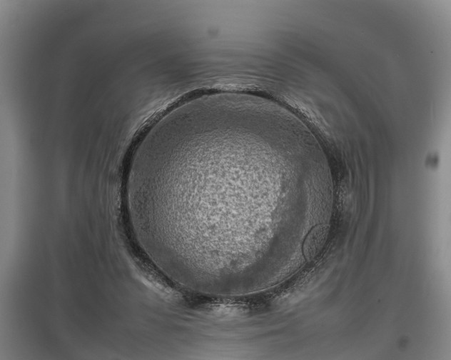 X0000097480303200802291404