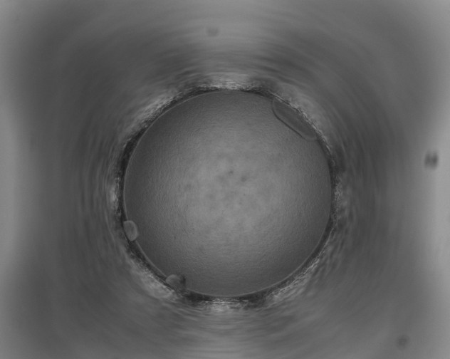 X0000097480305200802291404