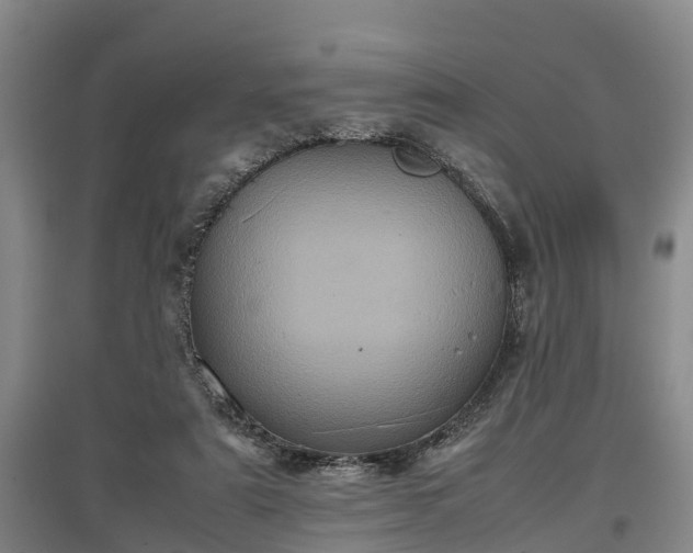 X0000097480307200802291404