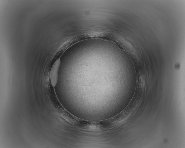 X0000097480308200802291404