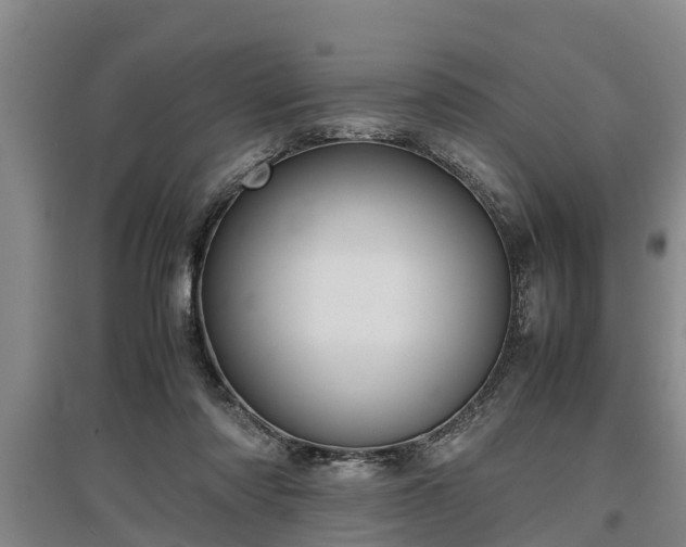 X0000097480310200802291404