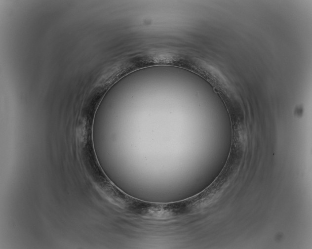 X0000097480311200802291404