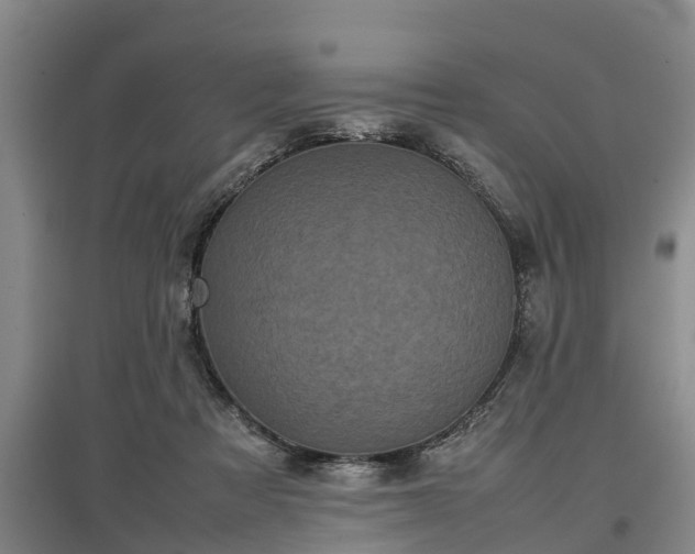 X0000097480313200802291404