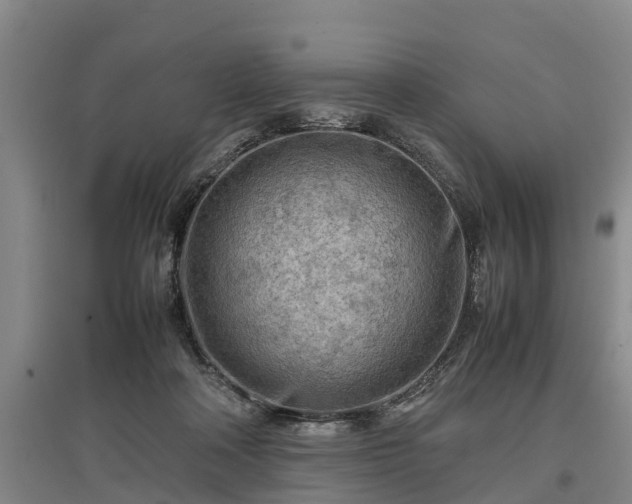 X0000097480314200802291404