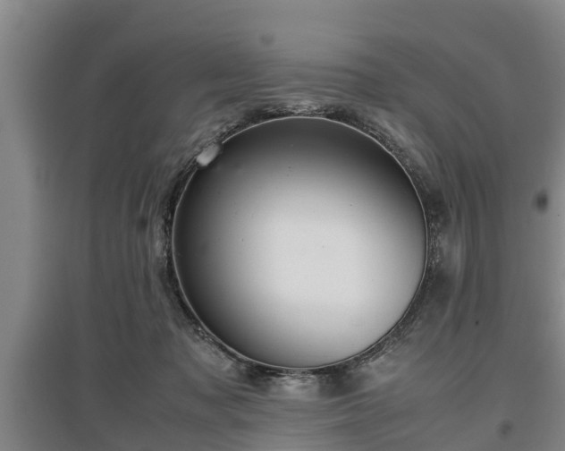 X0000097480317200802291404