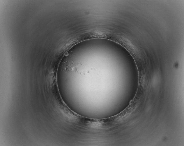 X0000097480318200802291404