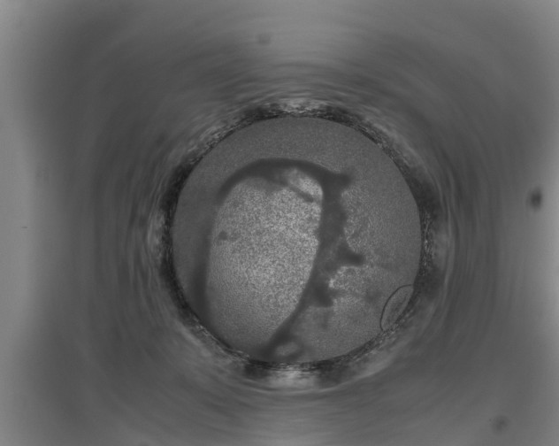 X0000097480319200802291404