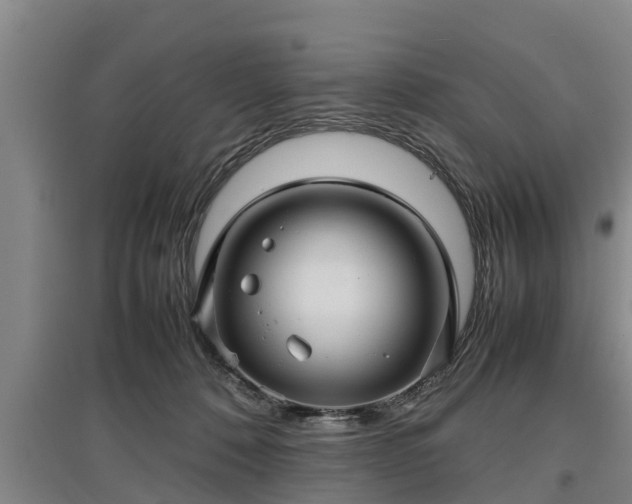 X0000097480320200802291404