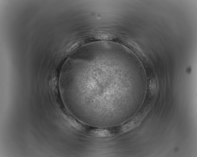 X0000097480322200802291404