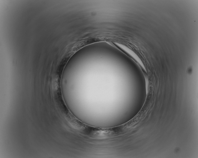 X0000097480323200802291404