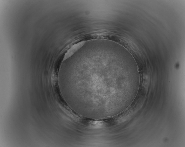 X0000097480324200802291404