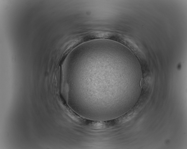 X0000097480325200802291404