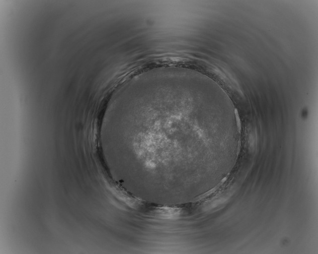 X0000097480328200802291404