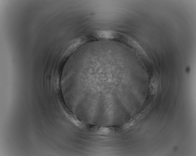 X0000097480330200802291404