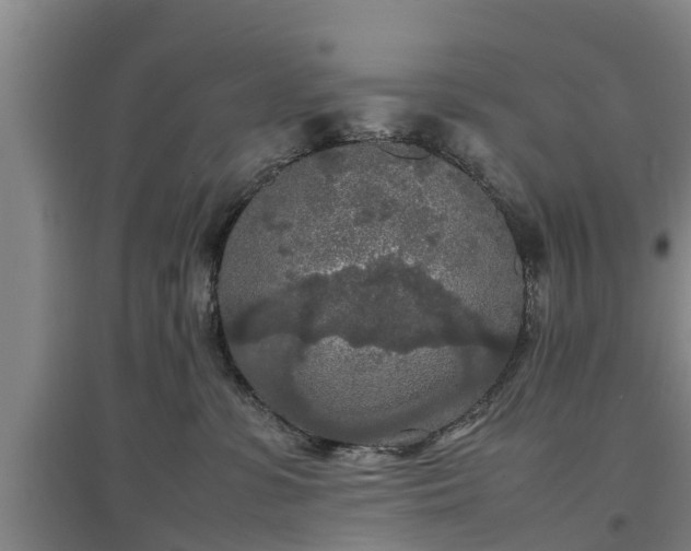 X0000097480331200802291404