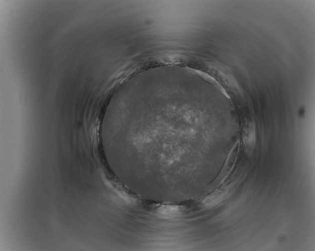 X0000097480332200802291404