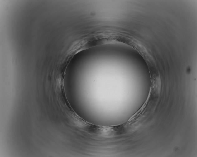 X0000097480333200802291404