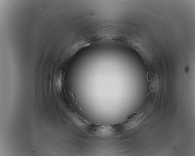 X0000097480334200802291404