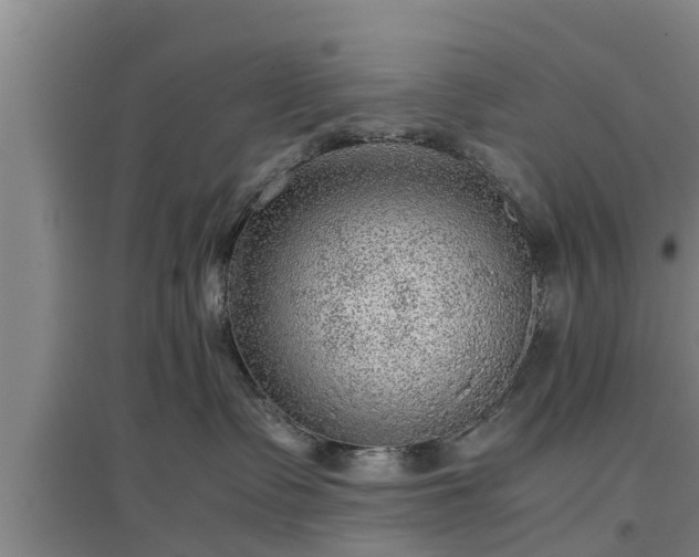 X0000097480335200802291404