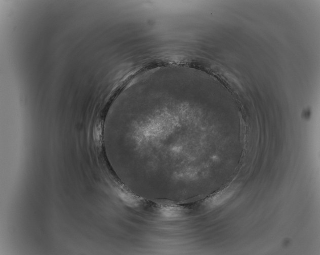 X0000097480336200802291404