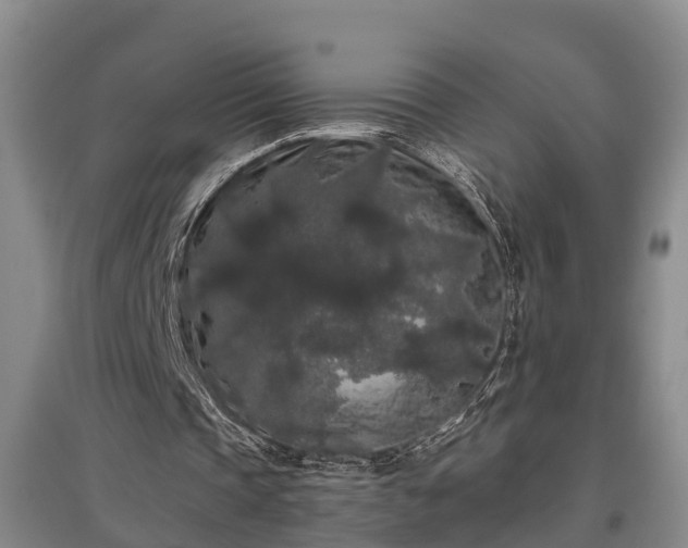 X0000097480337200802291403